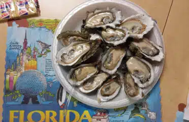 Shell Oyster Bar