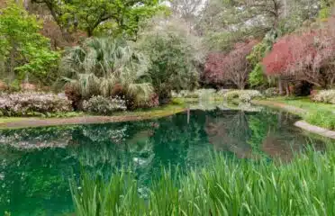 Alfred B. Maclay Gardens State Park