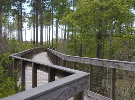 conservationparkboardwalk