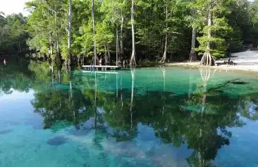 Morrison Springs