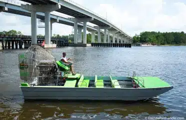 Wild Thang Airboat Tours